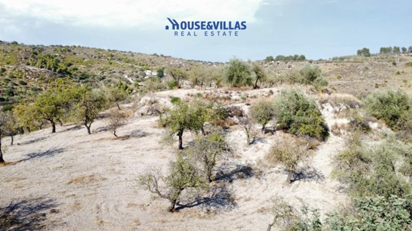 terreno agricolo in vendita a Noto