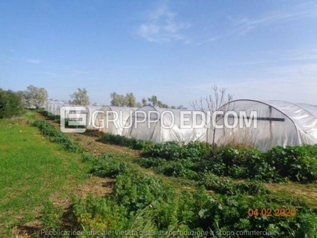 terreno agricolo in vendita a Noto