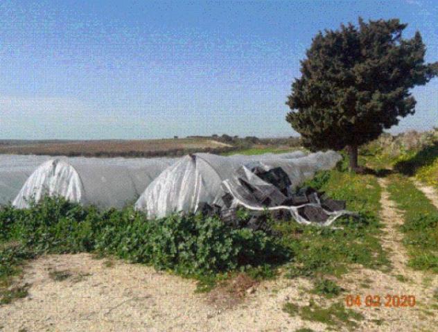 terreno agricolo in vendita a Noto