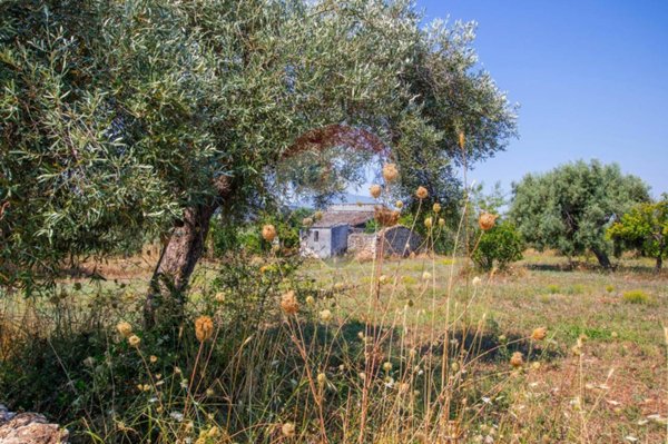 terreno agricolo in vendita a Noto