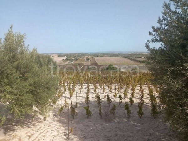 terreno agricolo in vendita a Noto in zona San Lorenzo