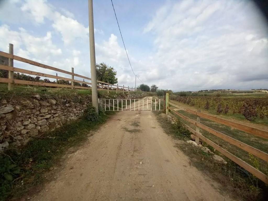 terreno agricolo in vendita a Noto in zona Vendicari