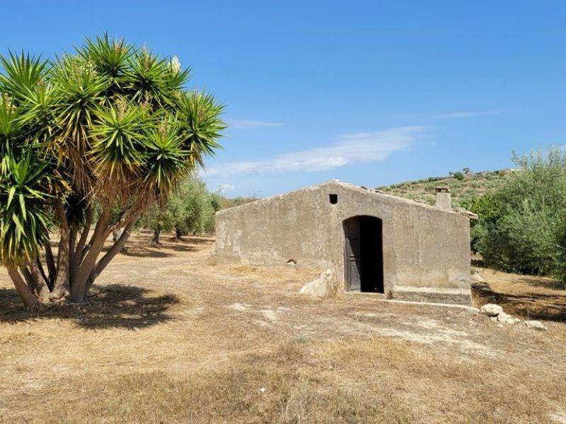 terreno agricolo in vendita a Noto