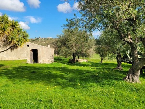 terreno agricolo in vendita a Noto