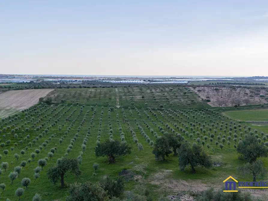 terreno agricolo in vendita a Noto