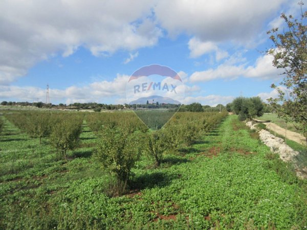 casa indipendente in vendita a Noto