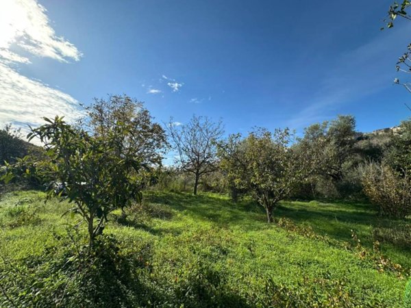 terreno agricolo in vendita a Noto