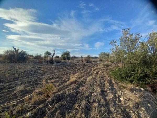terreno agricolo in vendita a Noto in zona San Lorenzo