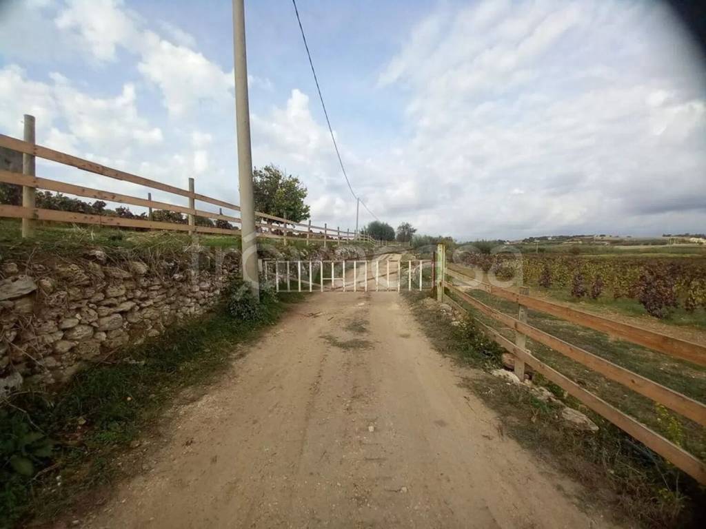 terreno agricolo in vendita a Noto in zona San Lorenzo