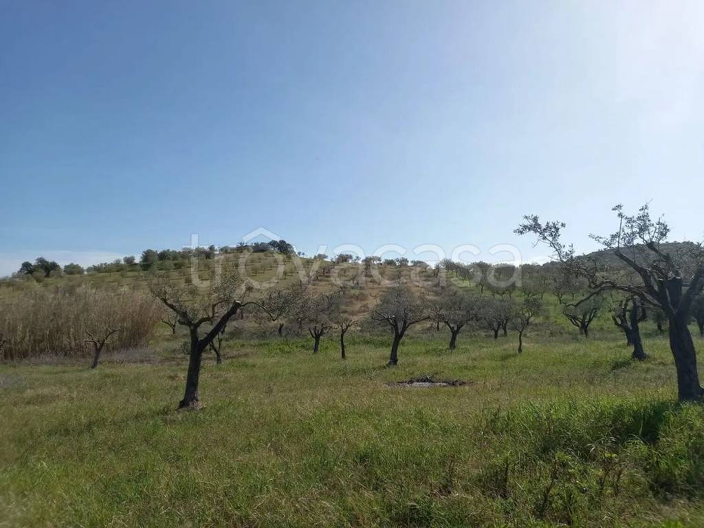 terreno agricolo in vendita a Noto
