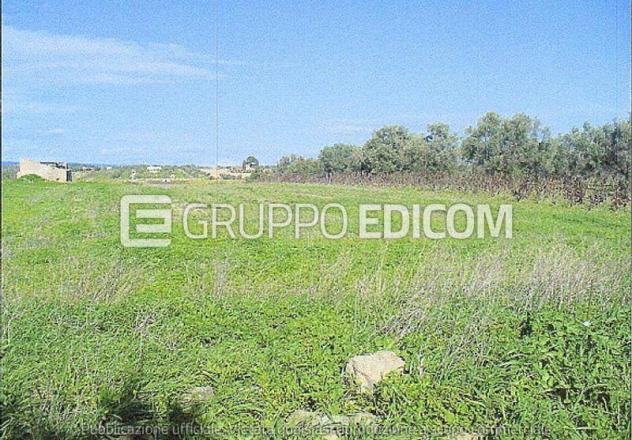 terreno agricolo in vendita a Noto