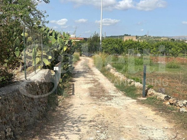 terreno agricolo in vendita a Noto in zona Falconara