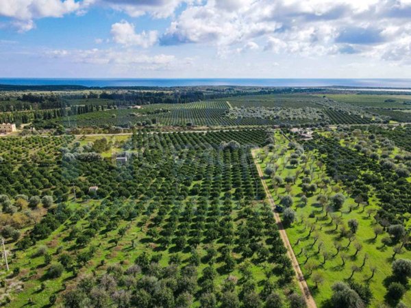 terreno agricolo in vendita a Noto in zona Vendicari