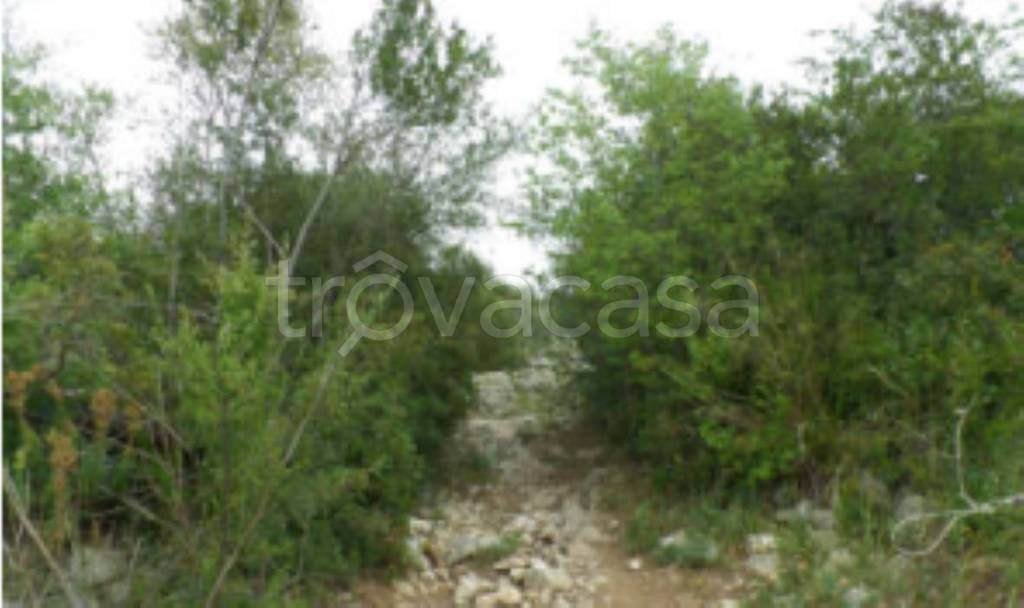 terreno agricolo in vendita a Noto