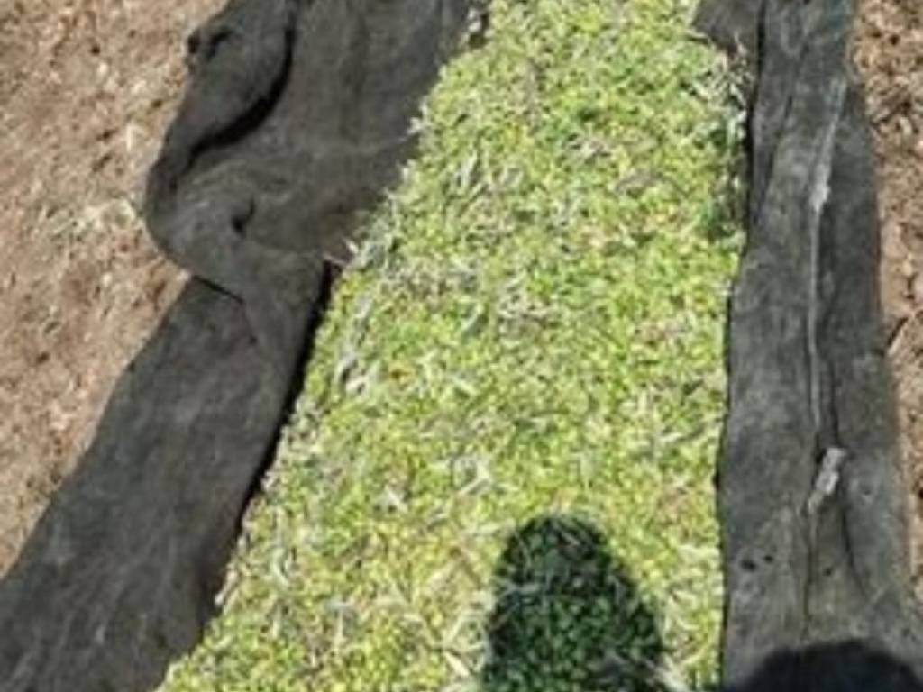 terreno agricolo in vendita a Noto