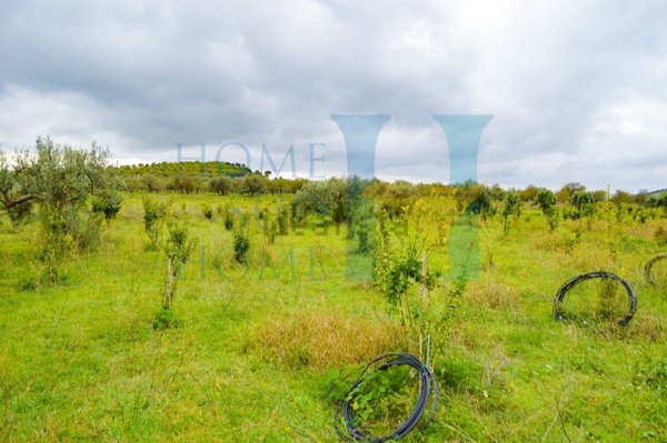 terreno edificabile in vendita a Noto in zona Vendicari