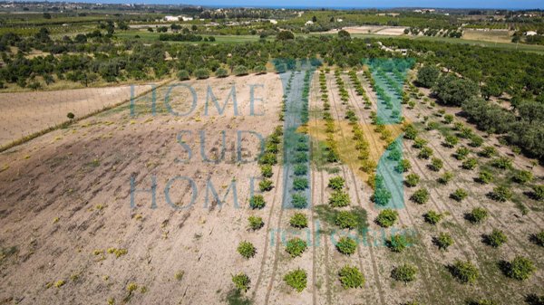 terreno edificabile in vendita a Noto