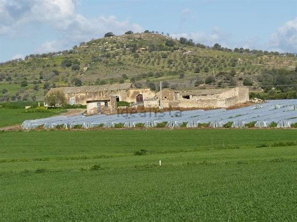 terreno agricolo in vendita a Noto