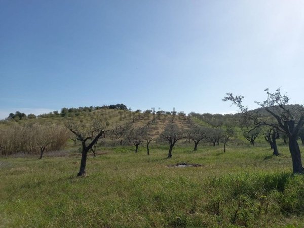 terreno agricolo in vendita a Noto