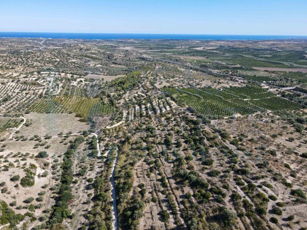 terreno agricolo in vendita a Noto