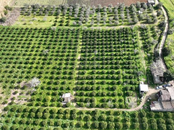casa indipendente in vendita a Noto