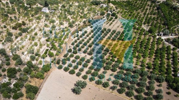 terreno edificabile in vendita a Noto