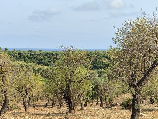 casa indipendente in vendita a Noto