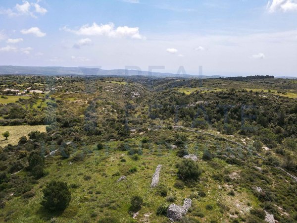 terreno agricolo in vendita a Noto