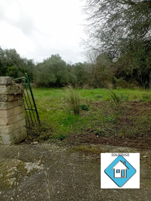 terreno agricolo in vendita a Noto in zona Santa Lucia