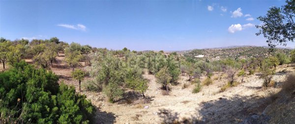 terreno agricolo in vendita a Noto in zona San Paolo