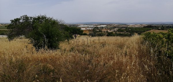 terreno agricolo in vendita a Noto