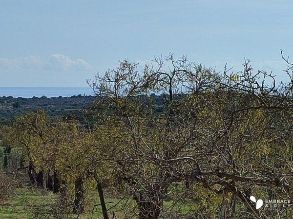 casa indipendente in vendita a Noto