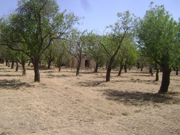 appartamento in vendita a Noto in zona Vendicari