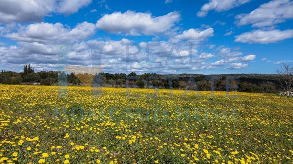 terreno edificabile in vendita a Noto