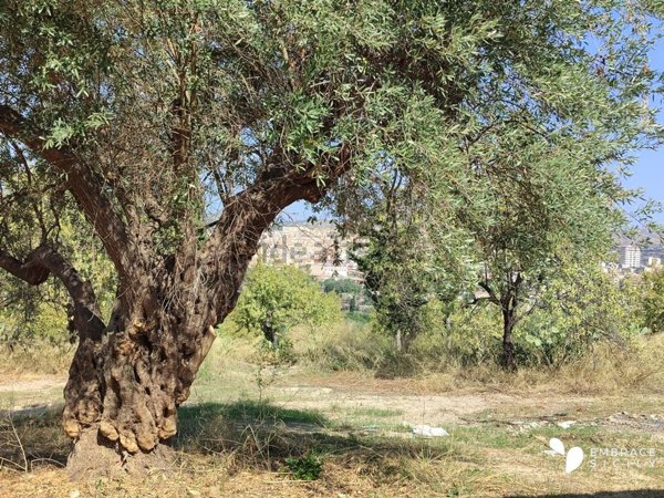 casa indipendente in vendita a Noto