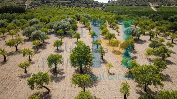 terreno edificabile in vendita a Noto