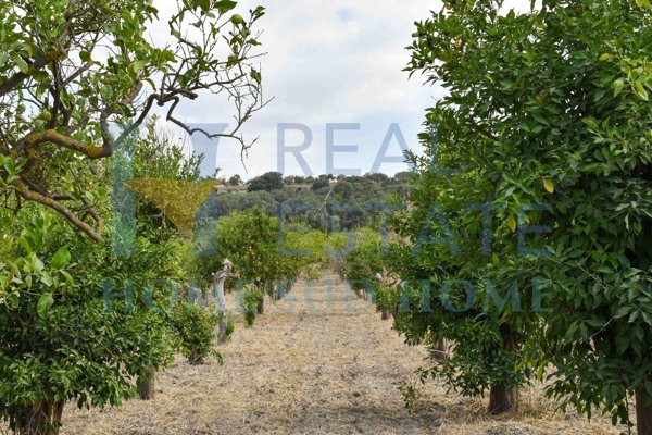 appartamento in vendita a Noto in zona San Lorenzo