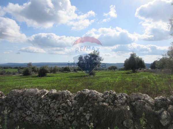 terreno agricolo in vendita a Noto