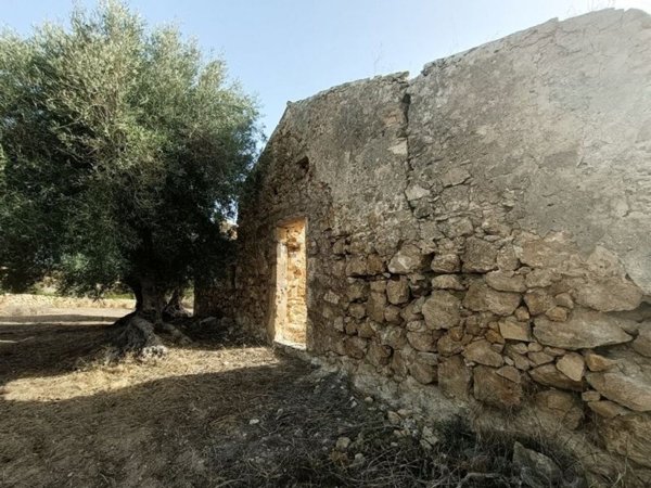 terreno agricolo in vendita a Noto