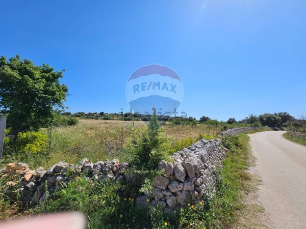 terreno agricolo in vendita a Noto
