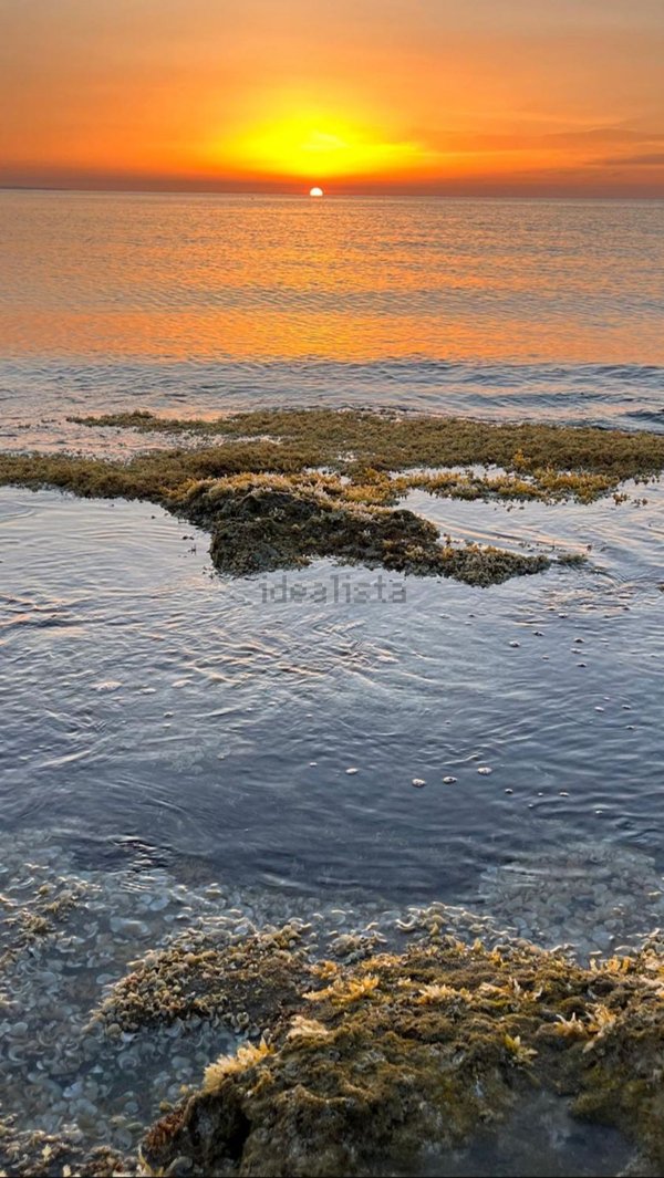 quadrivano in vendita a Noto in zona Calabernardo