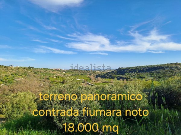 terreno agricolo in vendita a Noto