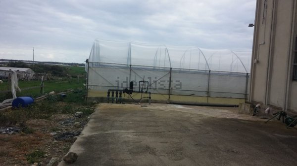 azienda agricola in vendita a Noto