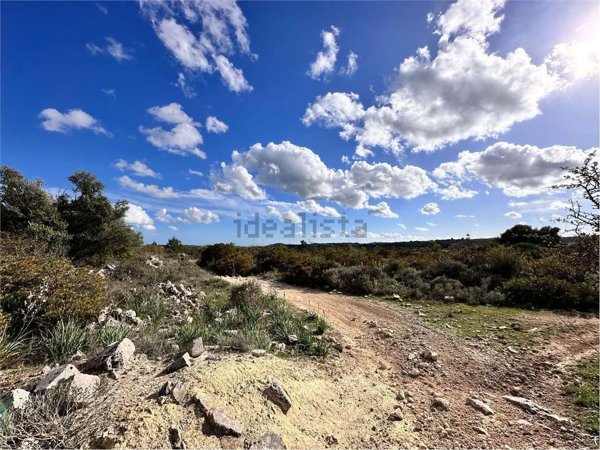 terreno agricolo in vendita a Noto in zona San Corrado di Fuori