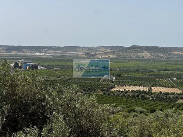 terreno agricolo in vendita a Noto