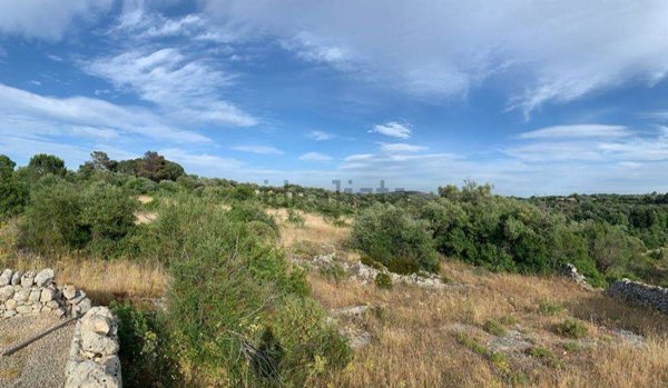 terreno agricolo in vendita a Noto