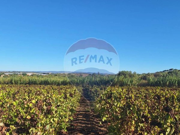 terreno agricolo in vendita a Noto