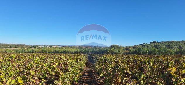 casa indipendente in vendita a Noto