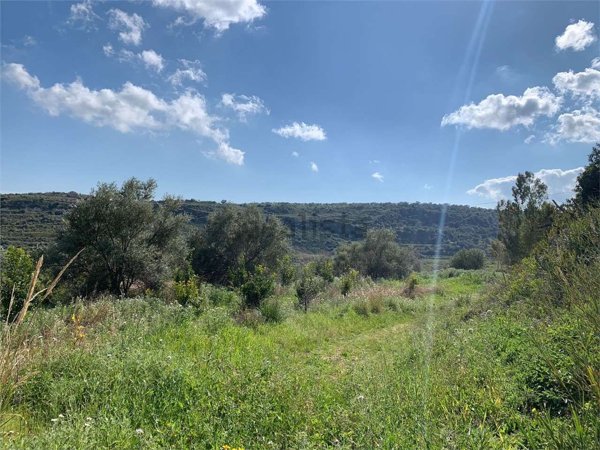 terreno agricolo in vendita a Noto