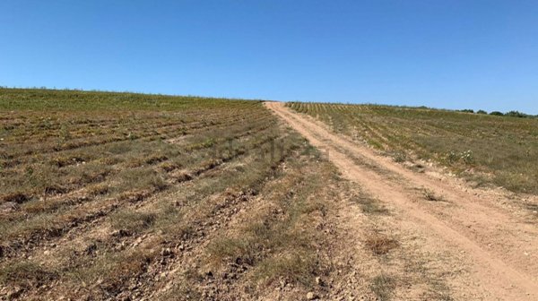 terreno agricolo in vendita a Noto